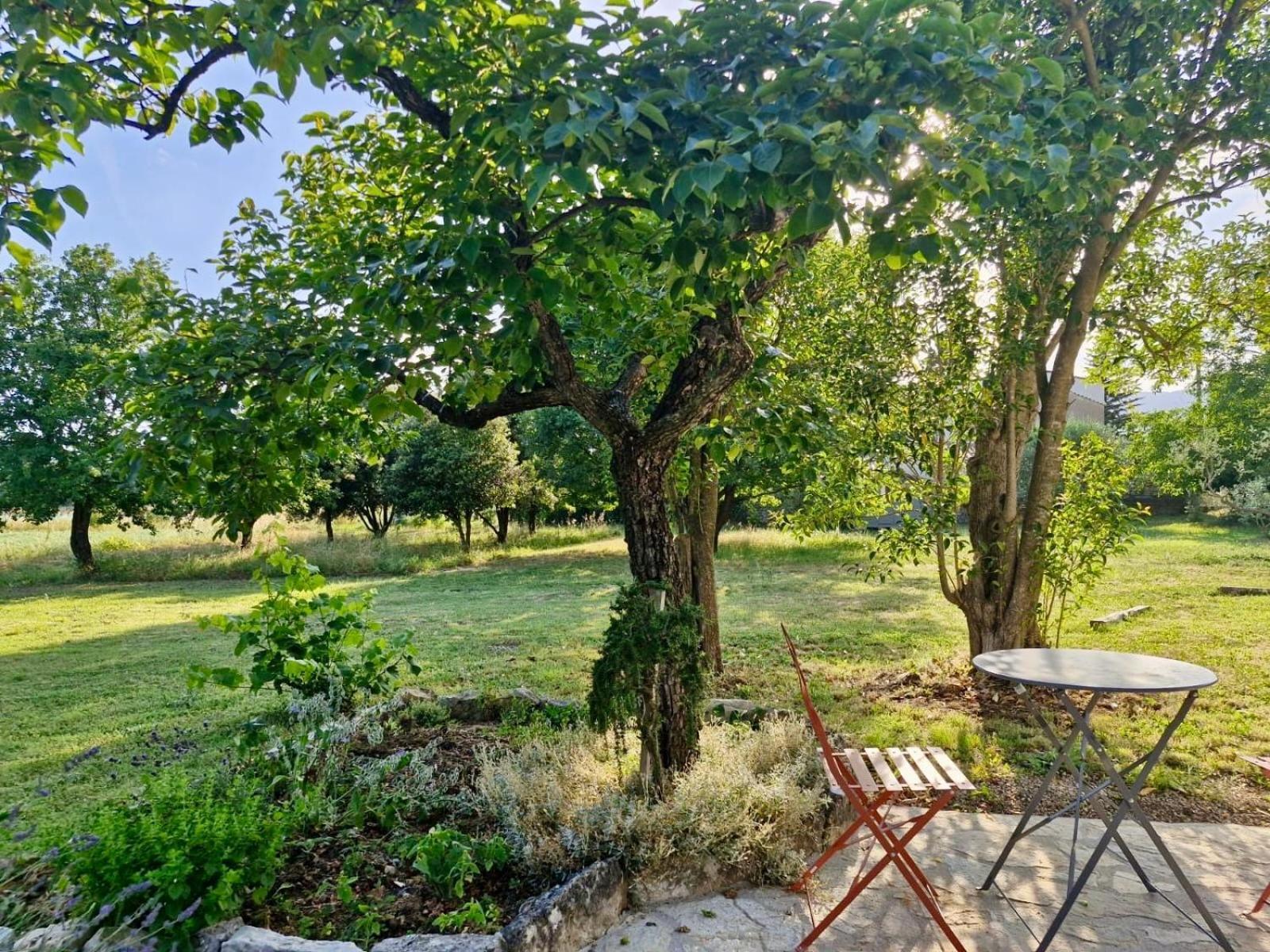La Bastideta, Apartment Fayence Exterior photo